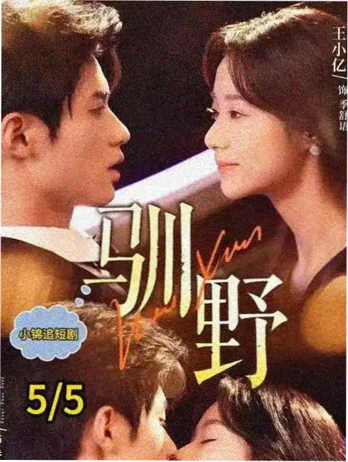 宫阙 电视剧 2026 即将上线